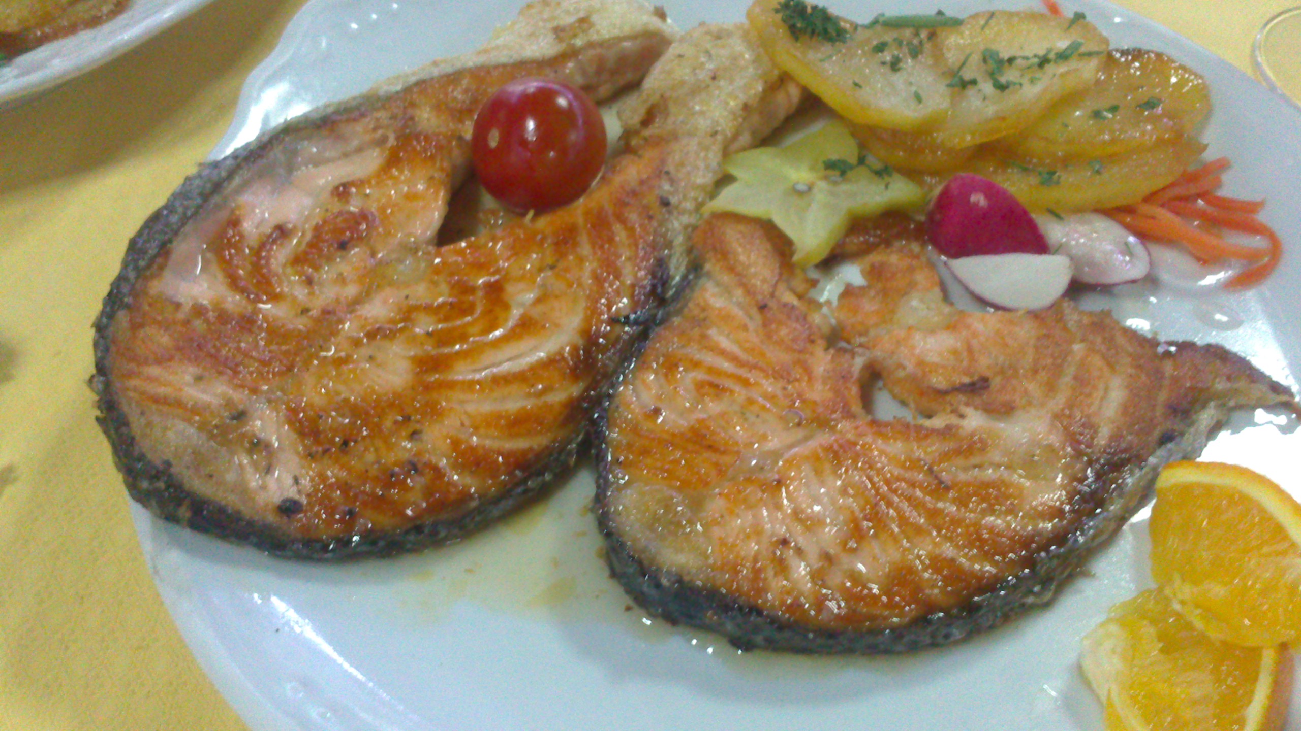 El tiburon salmón